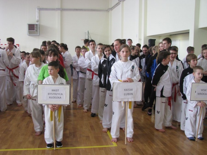Medale Międzywojew&oacute;dzkich Mistrzostw Taekwon-do w Złotoryi