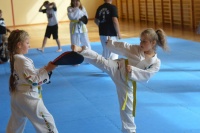 Rusza 2 część wakacyjnych trening&oacute;w Taekwon-do